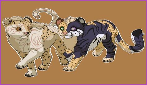 Uncovering Sibling Dynamics And On-Screen Magic